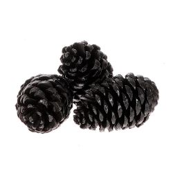 Zapfen Maritima schwarz 12cm 3st