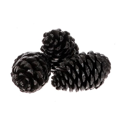 Zapfen Maritima schwarz 12cm 3st