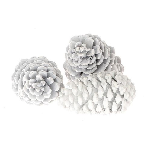 Zapfen Maritima weiss 12cm 3st