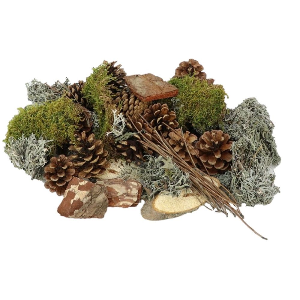 Trocken mix Forrest 500gr