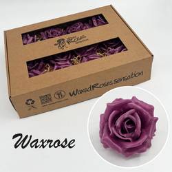 Seiden Wachs Rose lila