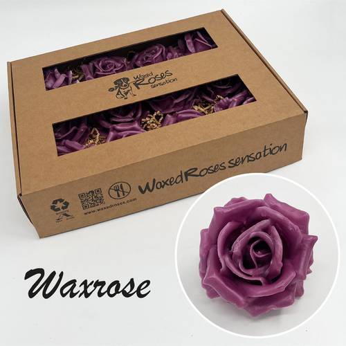 Seiden Wachs Rose lila