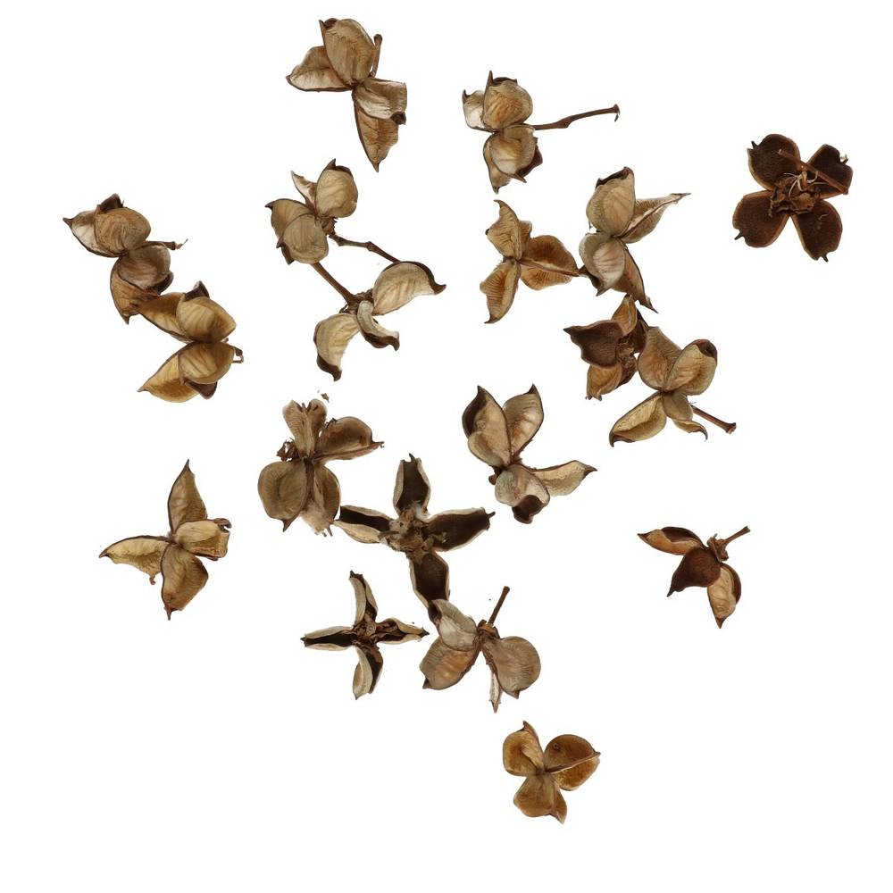 Trocken Baumwolle Kapseln natur 150gr