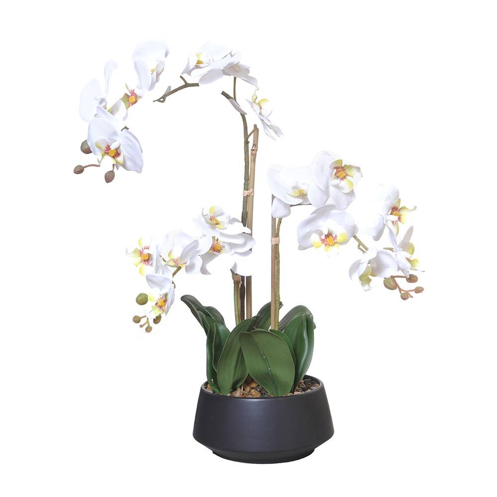 Orchidee im Keramiktopf weiss H58cm