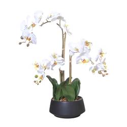 Orchidee im Keramiktopf weiss H58cm