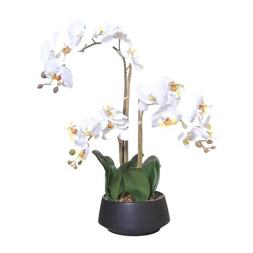 Orchidee im Keramiktopf weiss H58cm