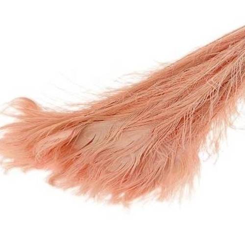 Pfauenfedern rosa L90cm x10