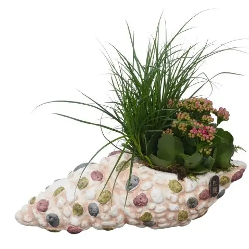 Garten.Arr PTPP7069 T33 H029