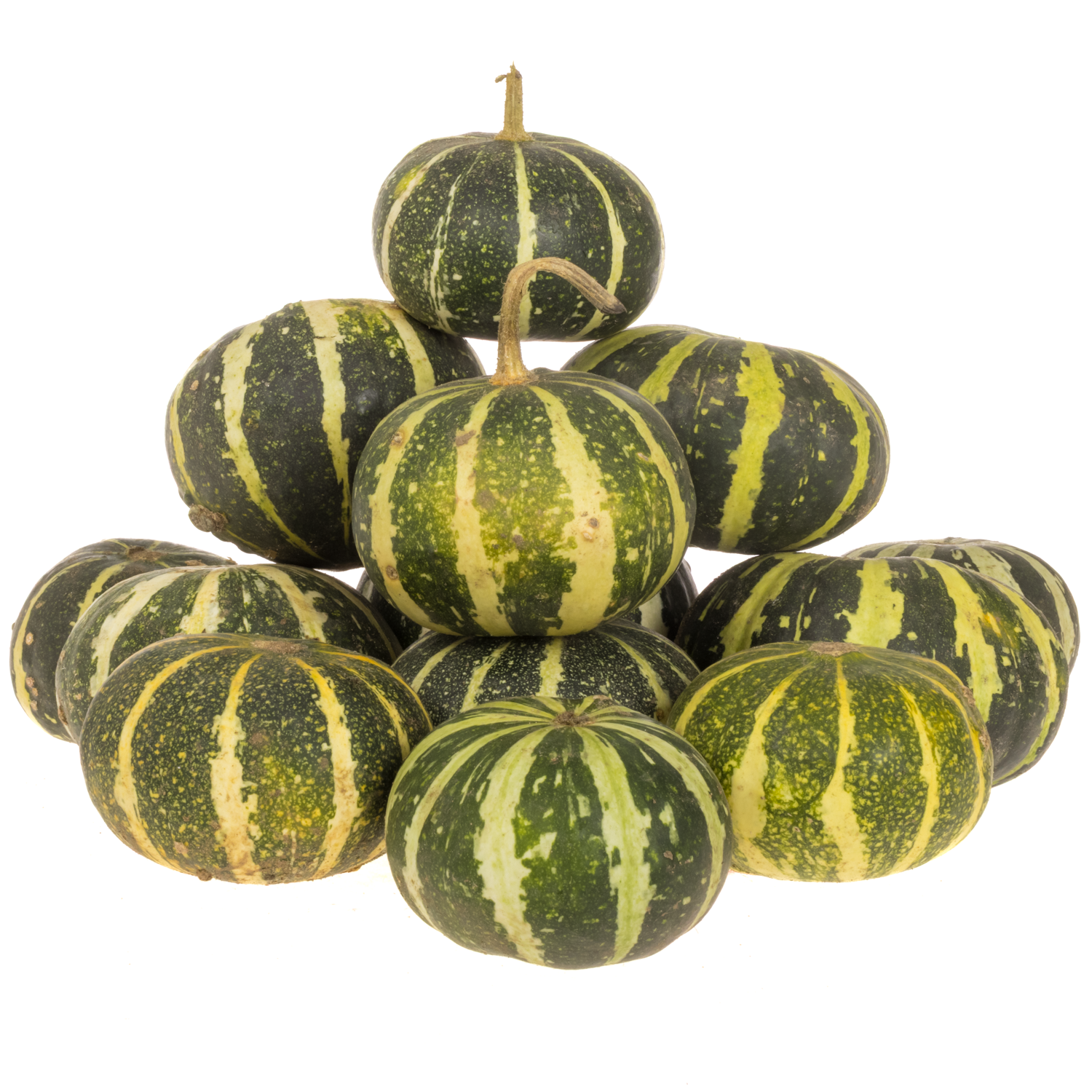 Zierkürbis grün/gelb Flatt Striped 6cm