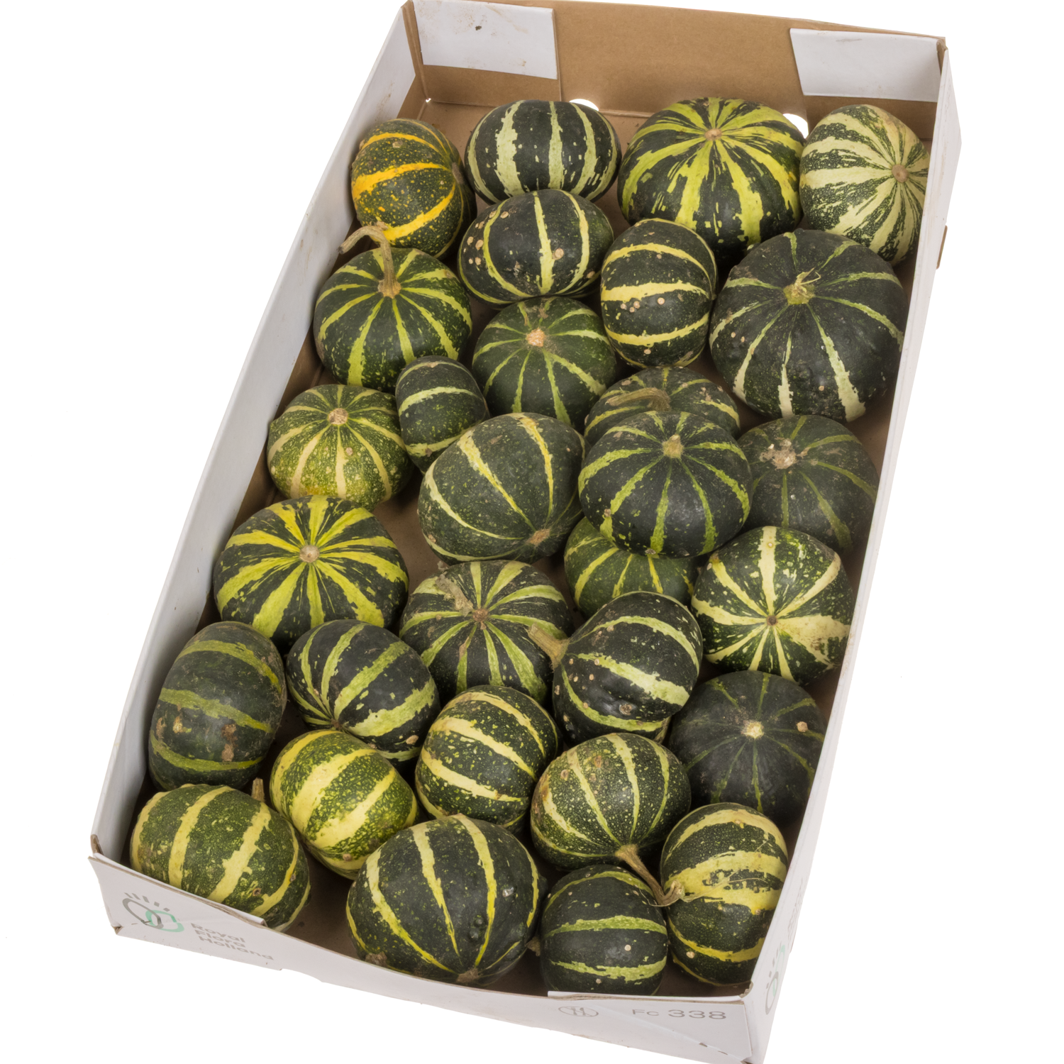 Zierkürbis grün/gelb Flatt Striped 6cm