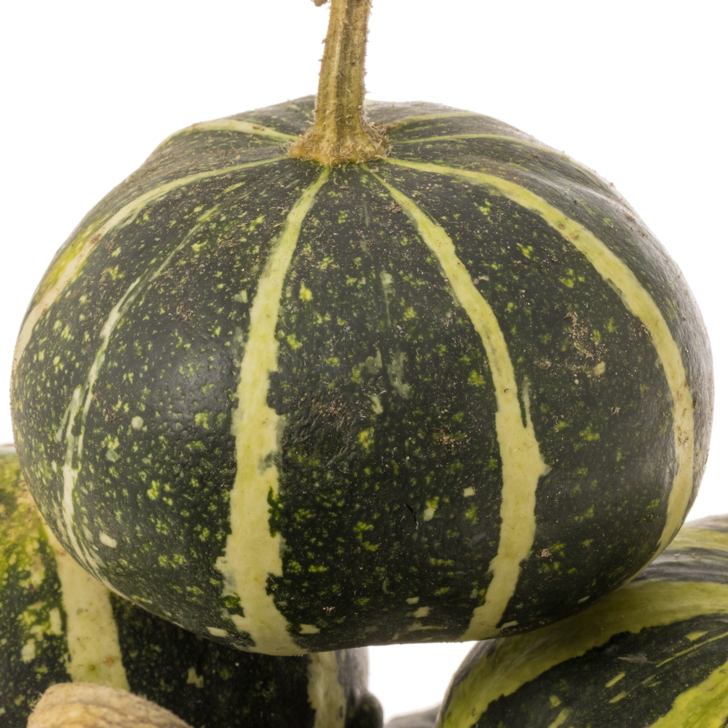 Zierkürbis grün/gelb Flatt Striped 6cm