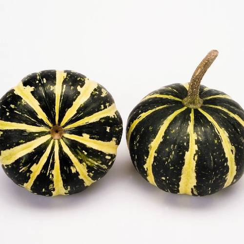 Zierkürbis grün/gelb Flatt Striped 6cm