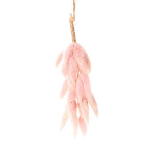 Trocken Hang Lagurus hellrosa L20cm