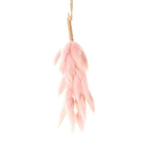 Trocken Hang Lagurus hellrosa L20cm