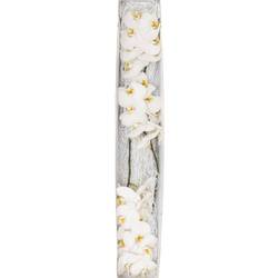 Phalaenopsis weiss Alba Royale 45 Blüten 3 Stiele 80cm