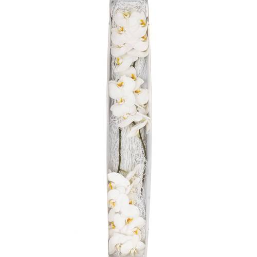 Phalaenopsis weiss Alba Royale 45 Blüten 3 Stiele 80cm