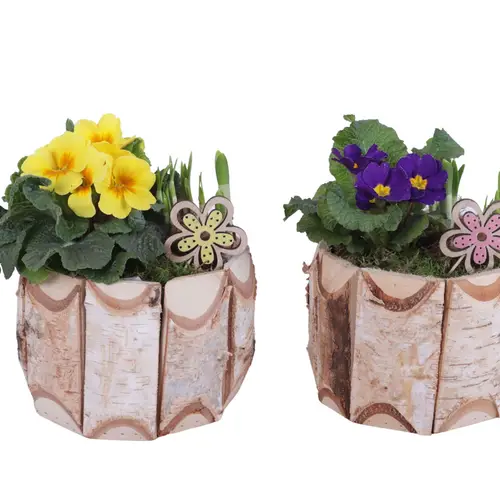 Garten.Arr mix ES617T2292 T17 H025