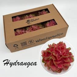Seiden Wachs Hortensie dunkelrosa