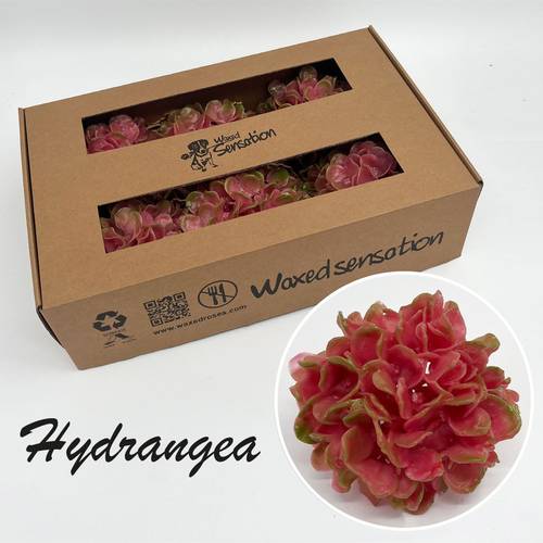 Seiden Wachs Hortensie dunkelrosa