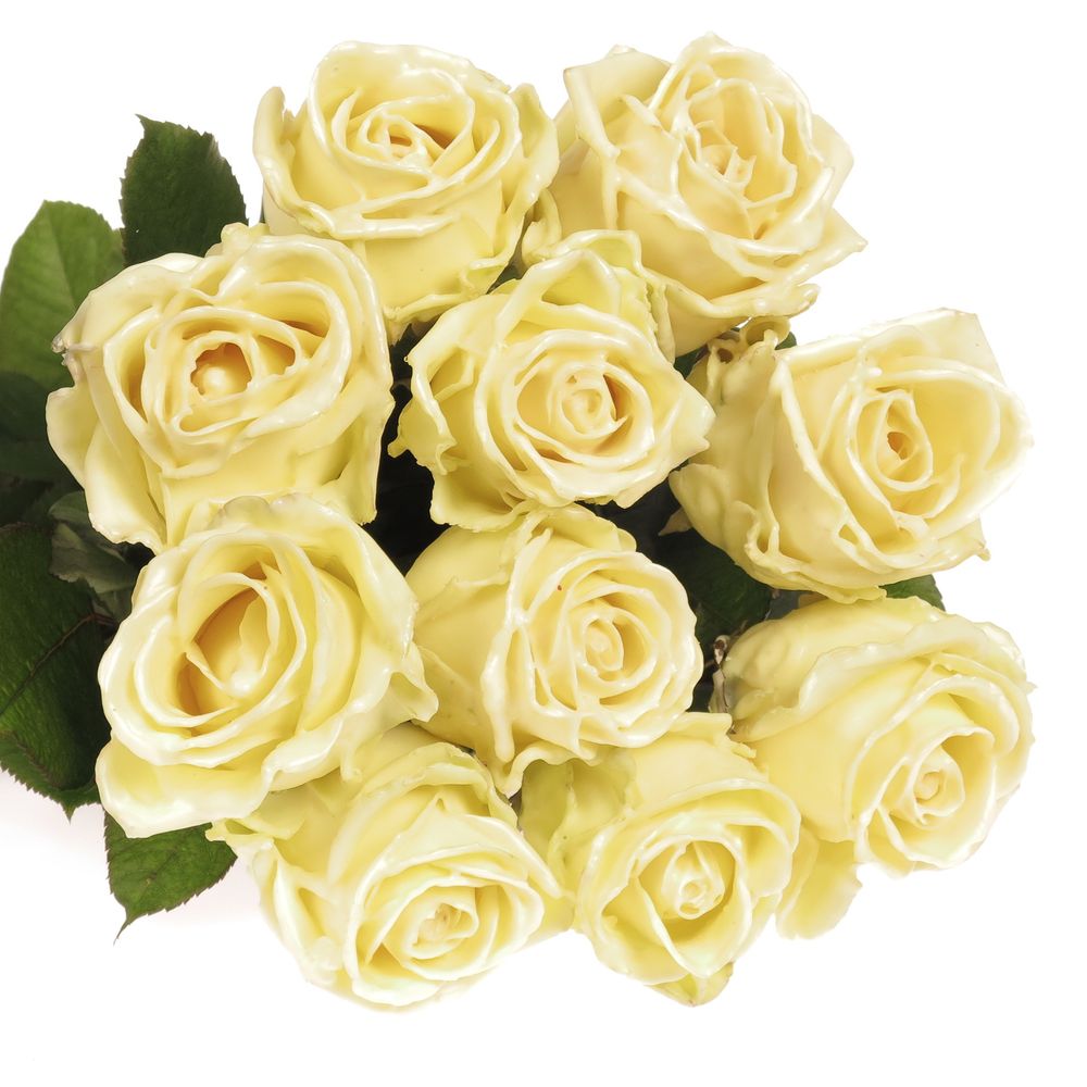 Rose creme Wachs (W9) 70cm