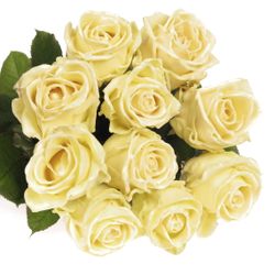 Rose creme Wachs (W9) 70cm