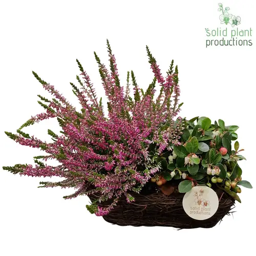 Garten.Arr SRS002 R Small Herbst T24 H035