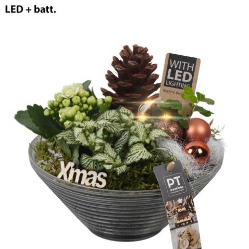 Kal.Arr PTCHB9831 Weihnachten T19 H022