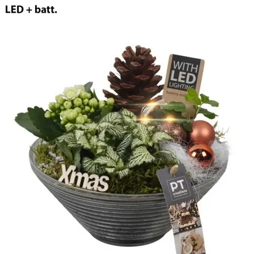 Kal.Arr PTCHB9831 Weihnachten T19 H022