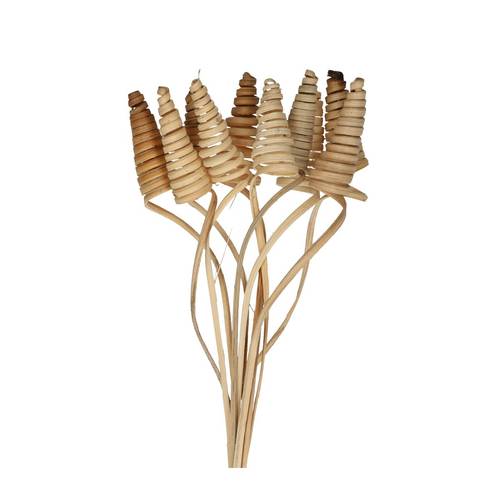 Trocken Cane Cone auf Stab natur L50cm