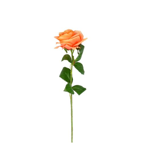Seiden Rose pfirsich L54cm