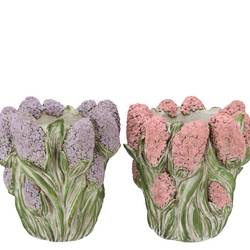 Beton Übertopf Dante Hyazinthe mix 22x22x19cm