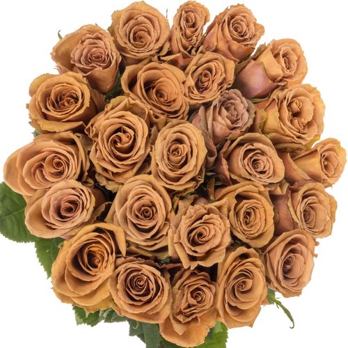 Rose orange Toffee 80cm
