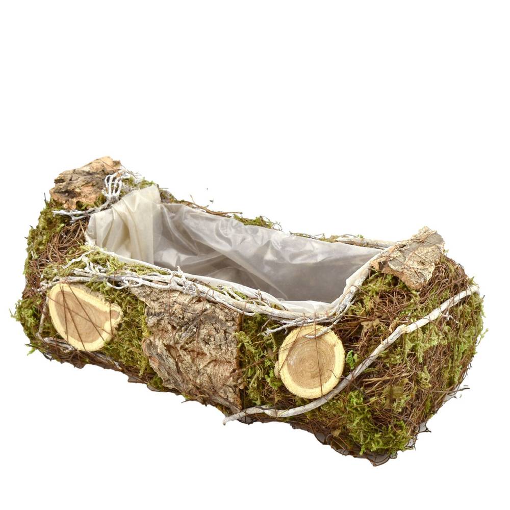 Mühlenbeckia Übertopf Rechteck 30x16x12cm