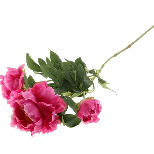 Seiden Pfingstrosen dunkel rosa L70cm