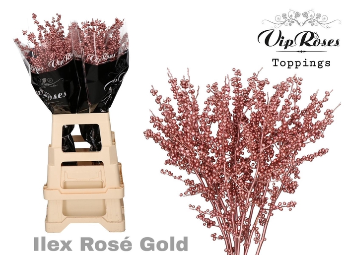 Ilex rose/gold gefärbt 70cm