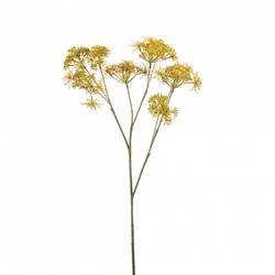 Seiden Anethum gelb L58cm