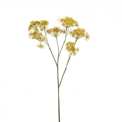 Seiden Anethum gelb L58cm