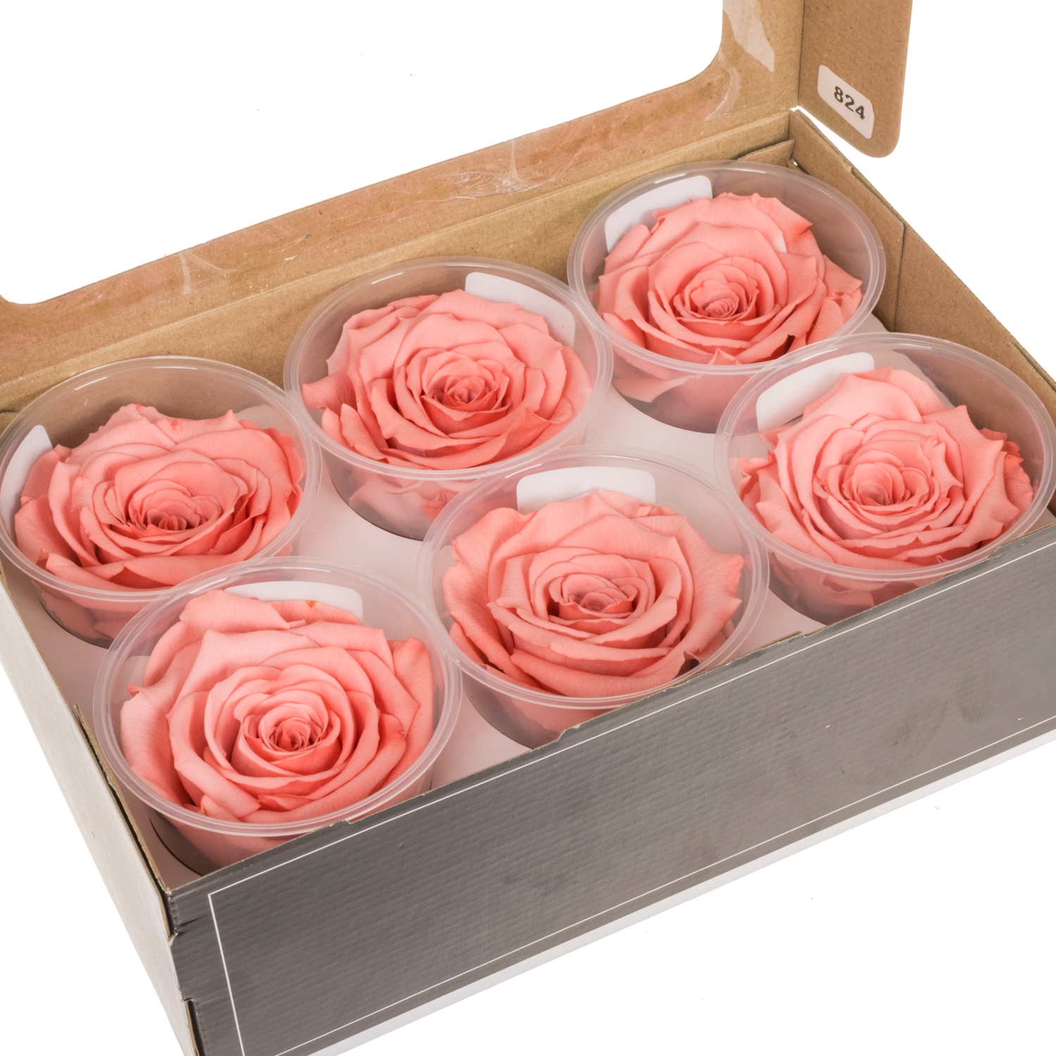 Präparierte Rose lachs Bic-09