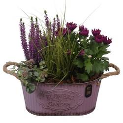 Garten.Arr PTHO7602 Herbst T28 H040
