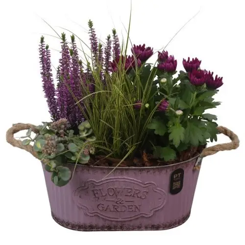 Garten.Arr PTHO7602 Herbst T28 H040