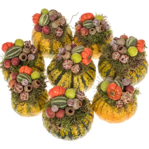 Zierkürbis mix Deko Wharty 12cm