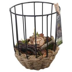 Amaryl.Arr PTAA7558 rote Bl. T16 H024