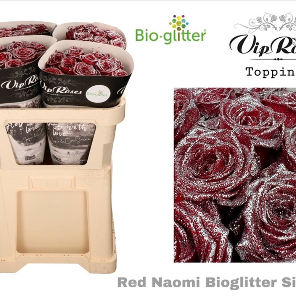 Rose rot Red Naomi Bio Glitter silber 70cm