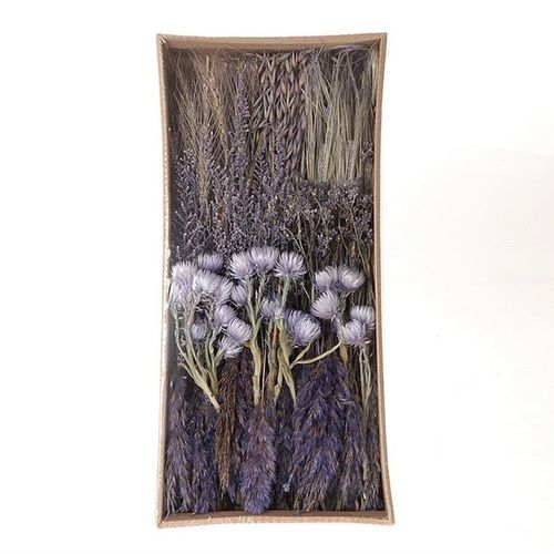 Trocken Blumen Frühjahr lila mix 350gr