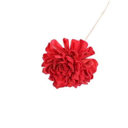 Trocken Dahlia auf Stab rot L50cm D10cm