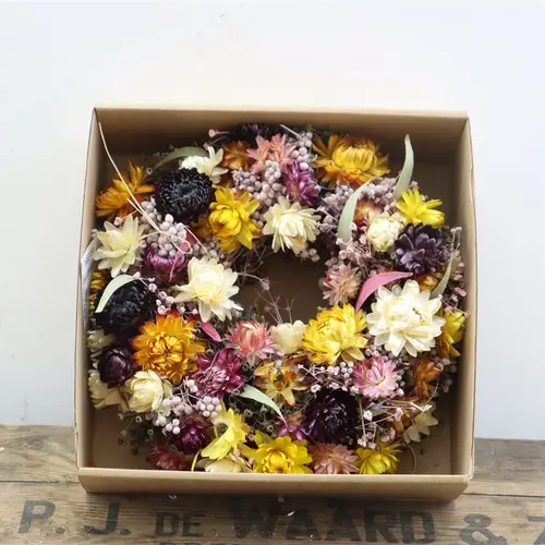 Kranz Helicrysum mix D20cm