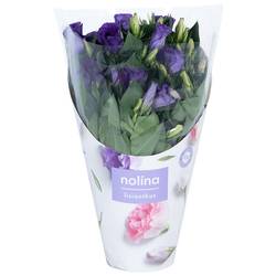 Lisianthus blau T13 H036