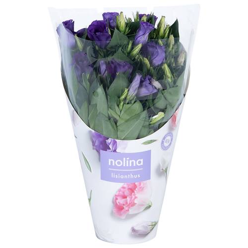 Lisianthus blau T13 H036