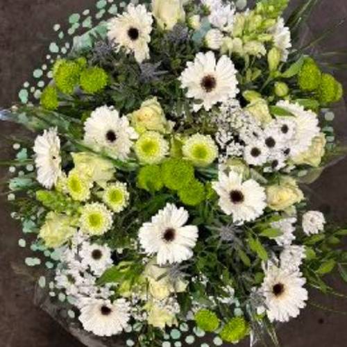 Strauß creme/weiss/grün Rosen-Germini 25 Stiele 50cm