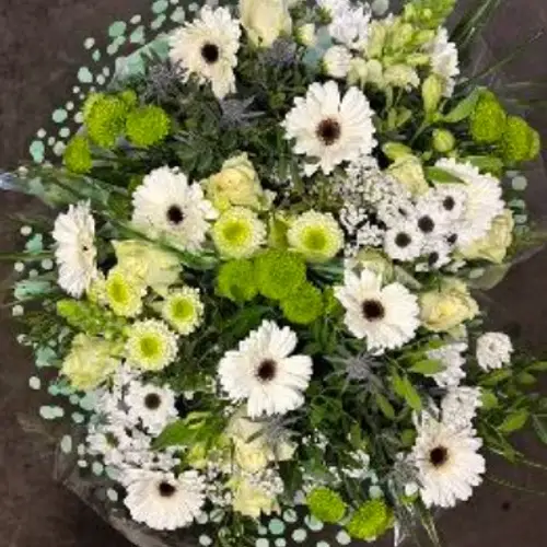Strauß creme/weiss/grün Rosen-Germini 25 Stiele 50cm